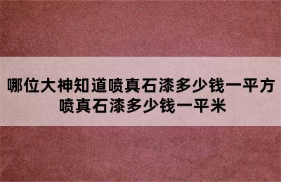 哪位大神知道喷真石漆多少钱一平方 喷真石漆多少钱一平米